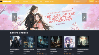 best-wordpress-novel-theme